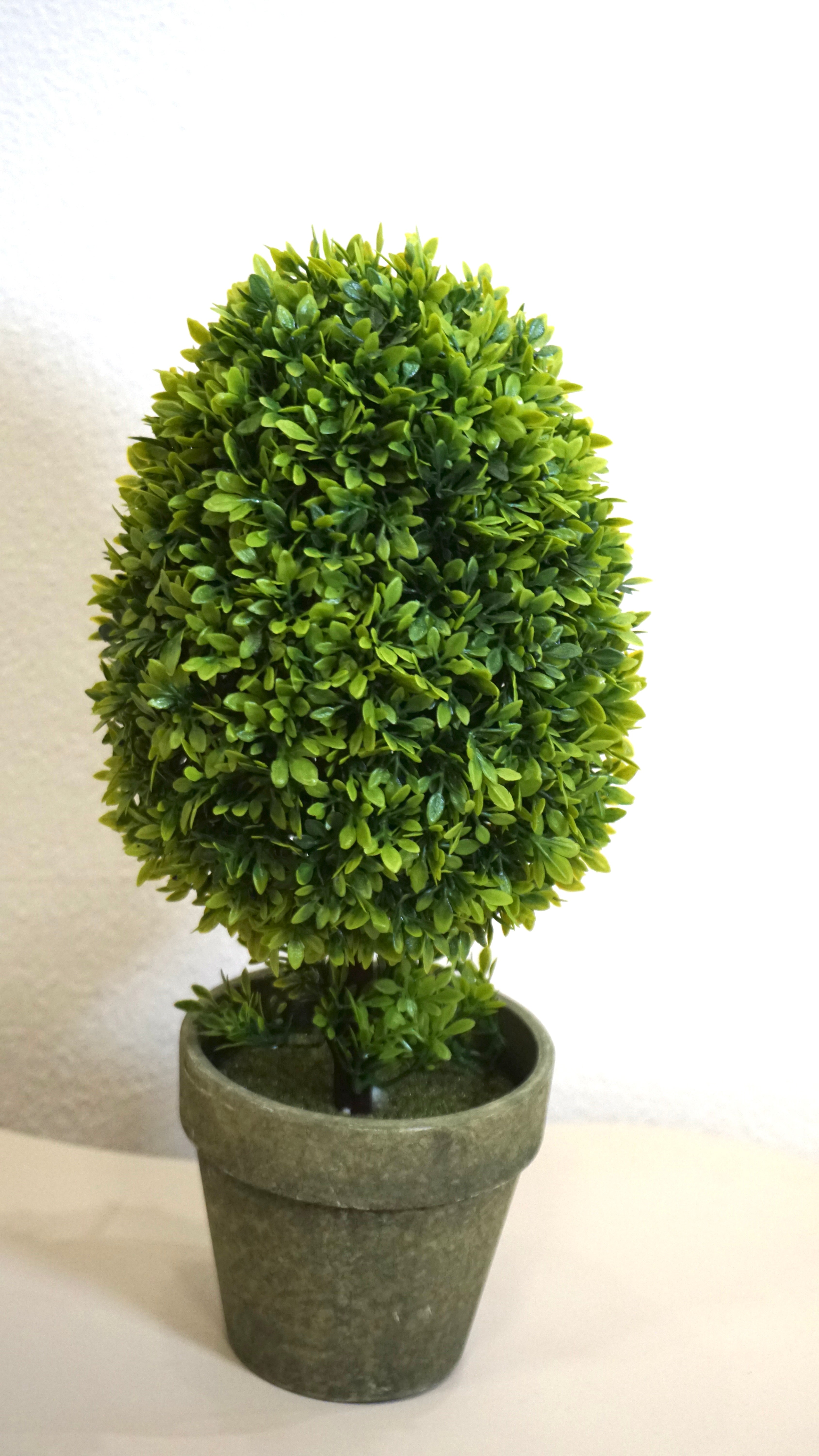 VASO BONSAI