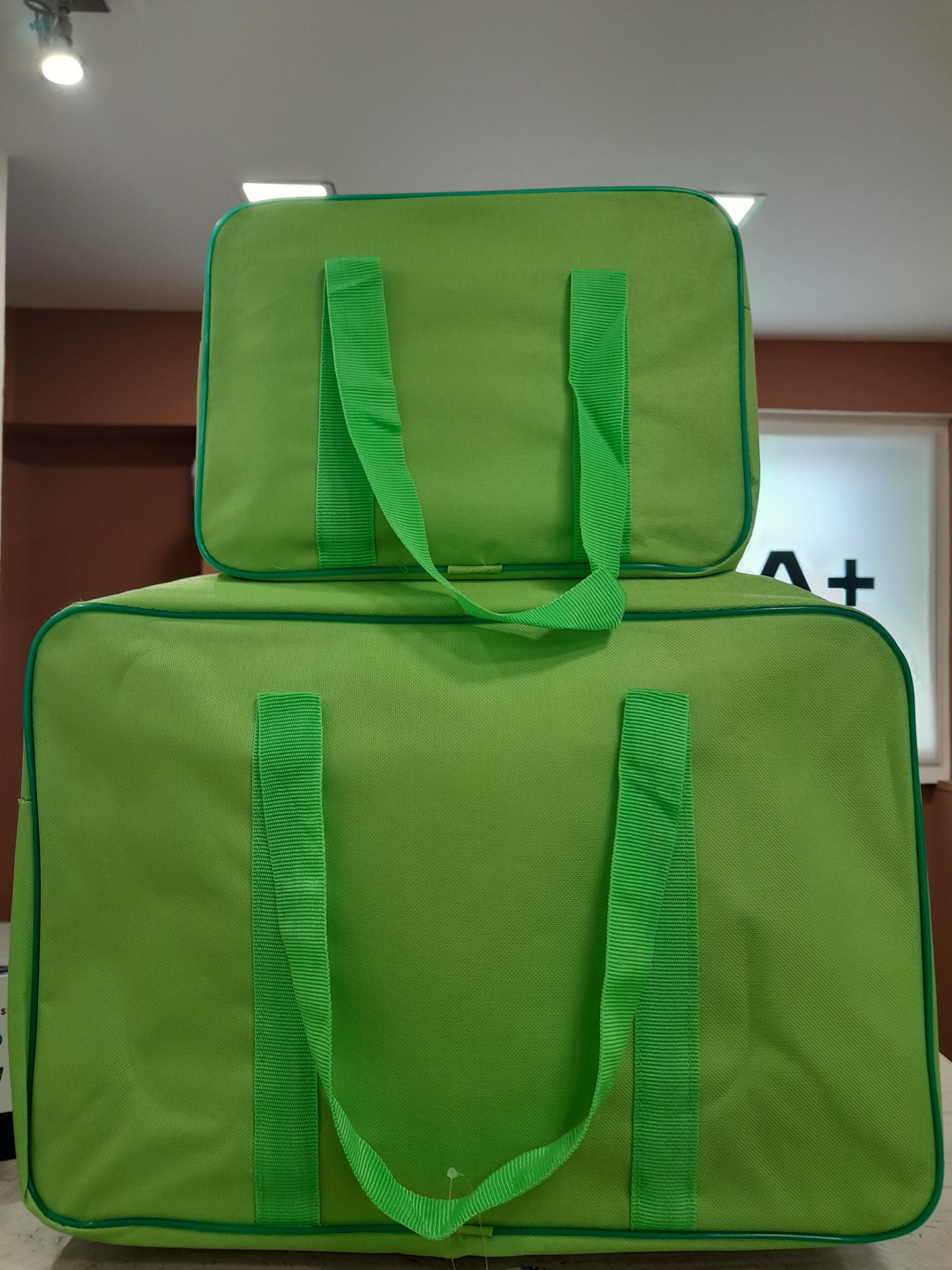SET 2 BORSE TERMICHE 6LT
