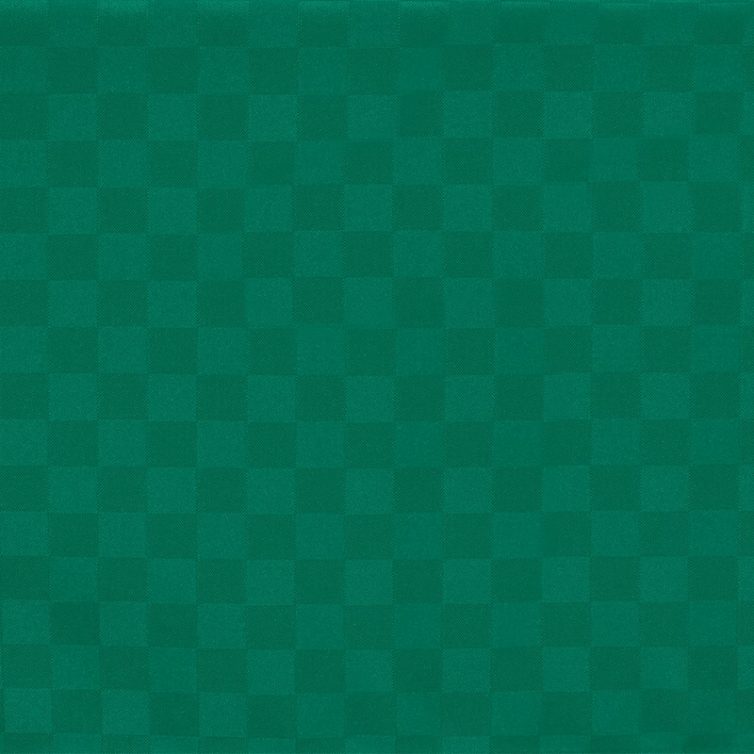 Tovaglia Antimacchia x12  T/U VERDE